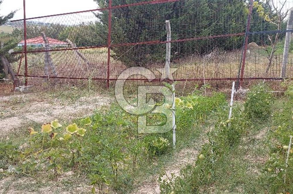 İstanbul Çatalca Çanakça'da Satılık 586 M2 Müstakil Parsel