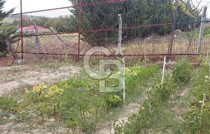 İstanbul Çatalca Çanakça'da Satılık 586 M2 Müstakil Parsel