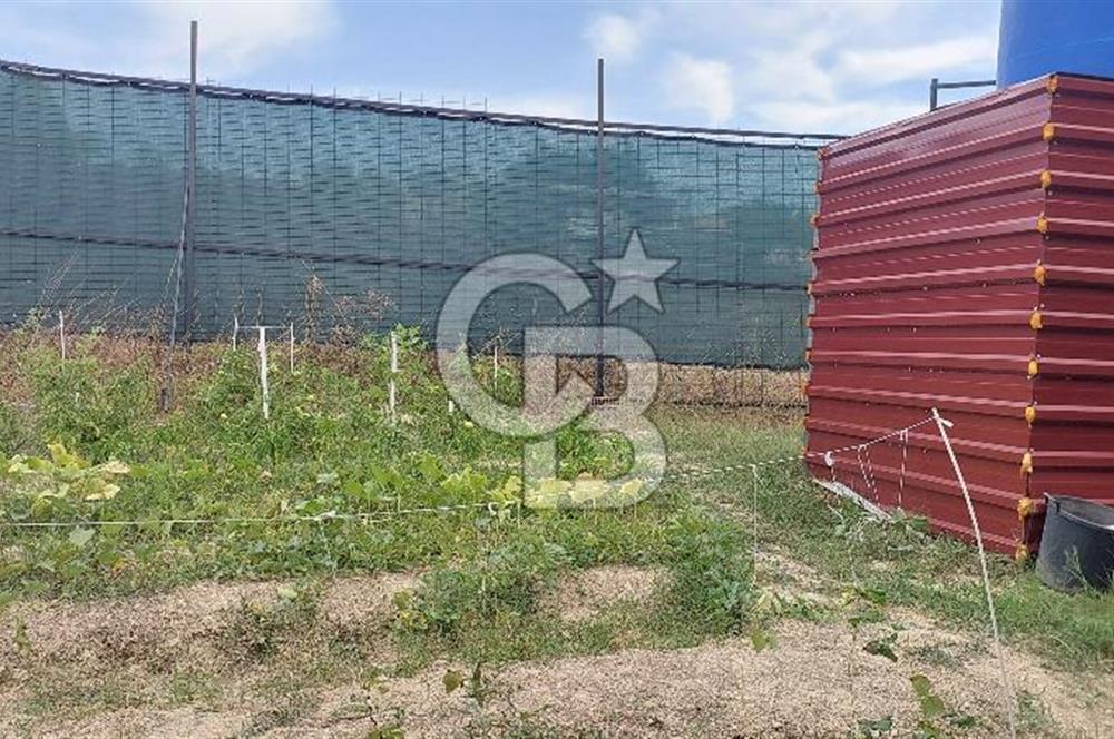 İstanbul Çatalca Çanakça'da Satılık 586 M2 Müstakil Parsel