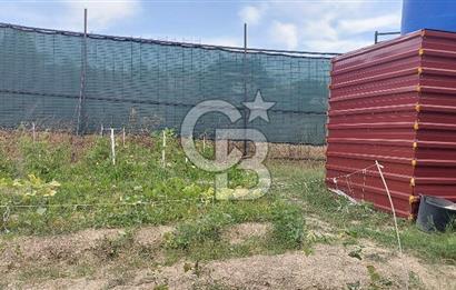 İstanbul Çatalca Çanakça'da Satılık 586 M2 Müstakil Parsel