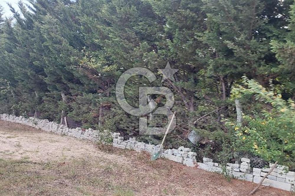 İstanbul Çatalca Çanakça'da Satılık 586 M2 Müstakil Parsel