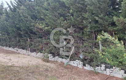 İstanbul Çatalca Çanakça'da Satılık 586 M2 Müstakil Parsel