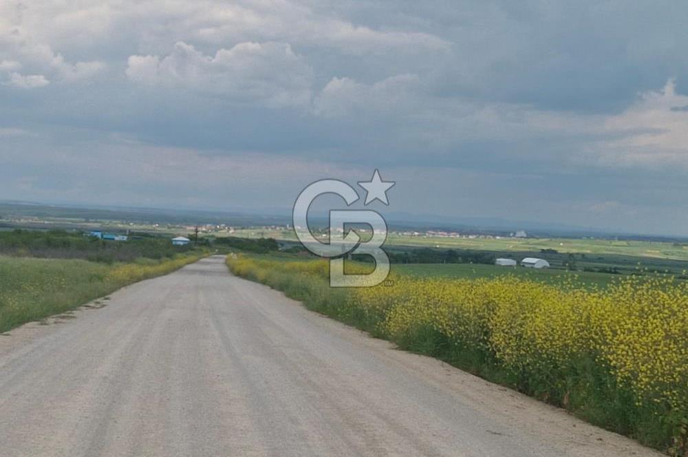 ÇAPLI VE MUVAKKATNAMELİ, KÖYE YAKIN FIRSAT TARLA
