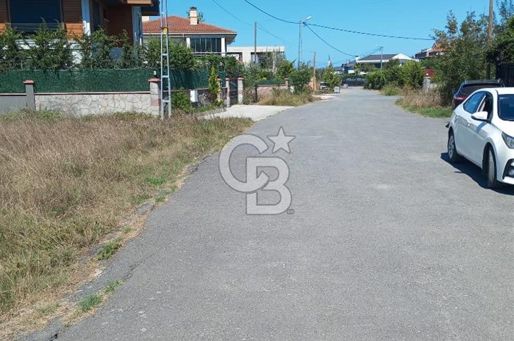 Şile Ahmetli Kumbaba Mevkii D020 Yoluna Yakın Satılık Arsa