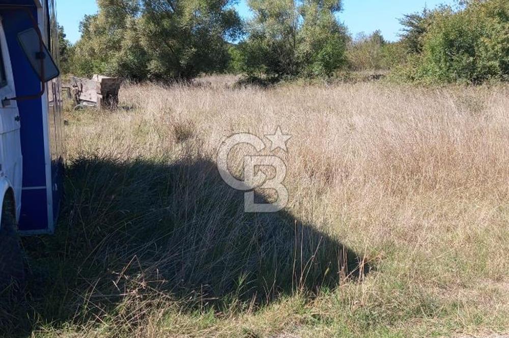 Şile Ahmetli Kumbaba Mevkii D020 Yoluna Yakın Satılık Arsa