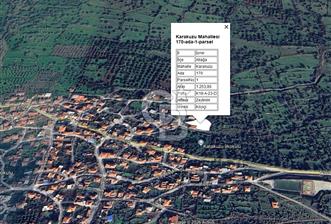 Karakuzu'da 5 villalık %50 imarlı 1562 m2 satılık fırsat arsa - 1 - 371128