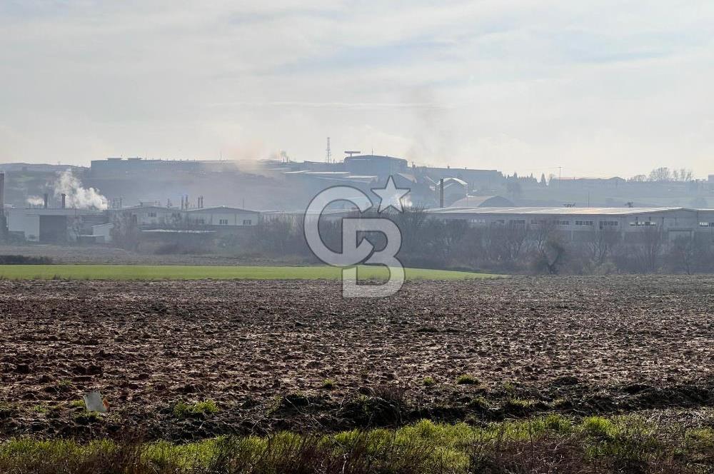 TEKİRDAĞ ERGENE VELİMEŞE'DE 17.5 DÖNÜM SATILIK FIRSAT TARLA