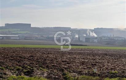 TEKİRDAĞ ERGENE VELİMEŞE'DE 17.5 DÖNÜM SATILIK FIRSAT TARLA