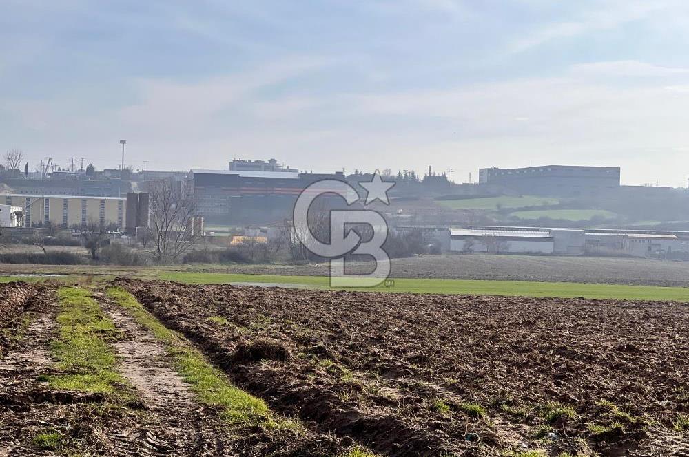 TEKİRDAĞ ERGENE VELİMEŞE'DE 17.5 DÖNÜM SATILIK FIRSAT TARLA