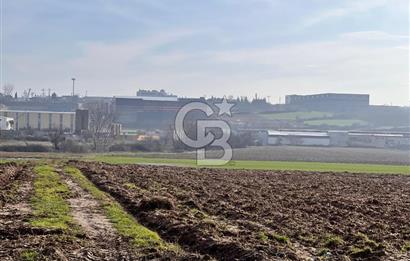 TEKİRDAĞ ERGENE VELİMEŞE'DE 17.5 DÖNÜM SATILIK FIRSAT TARLA