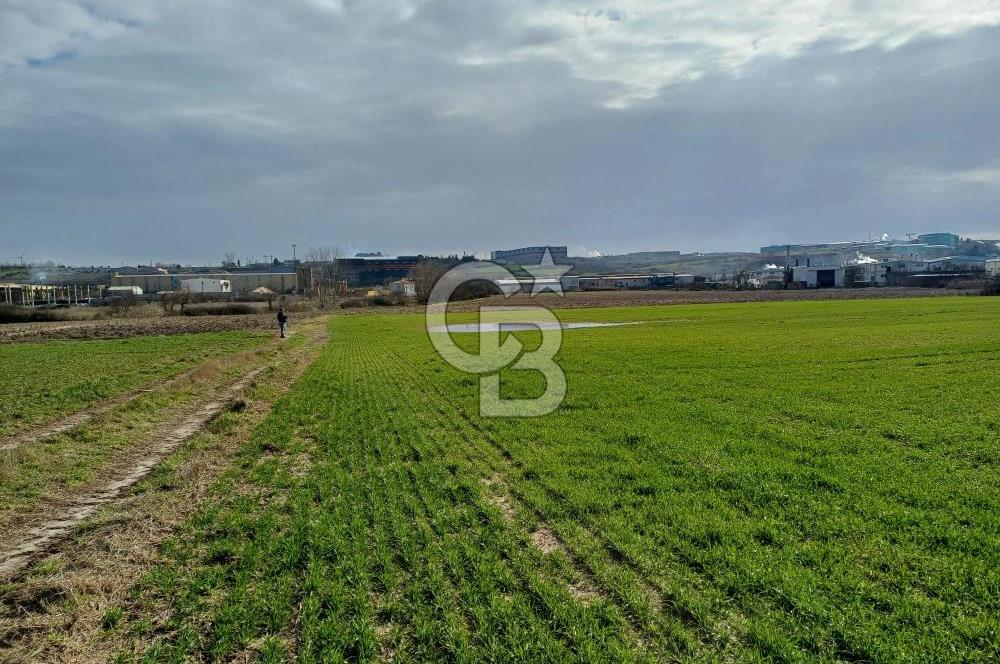 TEKİRDAĞ ERGENE VELİMEŞE'DE 17.5 DÖNÜM SATILIK FIRSAT TARLA