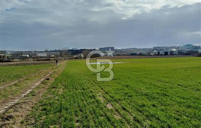 TEKİRDAĞ ERGENE VELİMEŞE'DE 17.5 DÖNÜM SATILIK FIRSAT TARLA