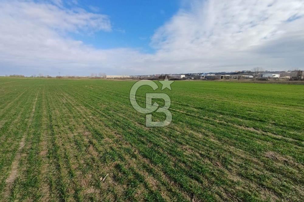 TEKİRDAĞ ERGENE VELİMEŞE'DE 17.5 DÖNÜM SATILIK FIRSAT TARLA