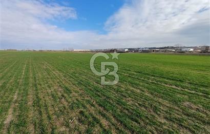 TEKİRDAĞ ERGENE VELİMEŞE'DE 17.5 DÖNÜM SATILIK FIRSAT TARLA