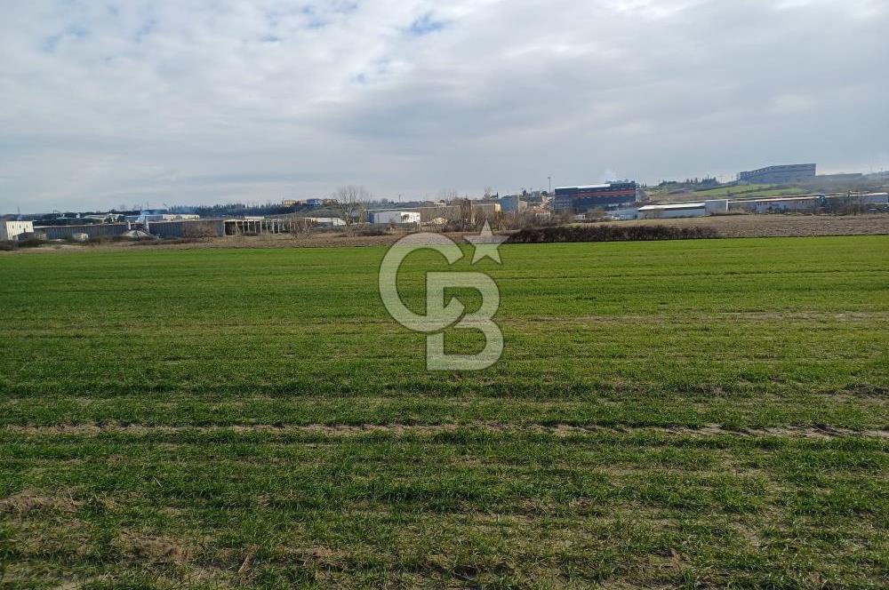 TEKİRDAĞ ERGENE VELİMEŞE'DE 17.5 DÖNÜM SATILIK FIRSAT TARLA