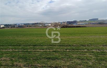 TEKİRDAĞ ERGENE VELİMEŞE'DE 17.5 DÖNÜM SATILIK FIRSAT TARLA