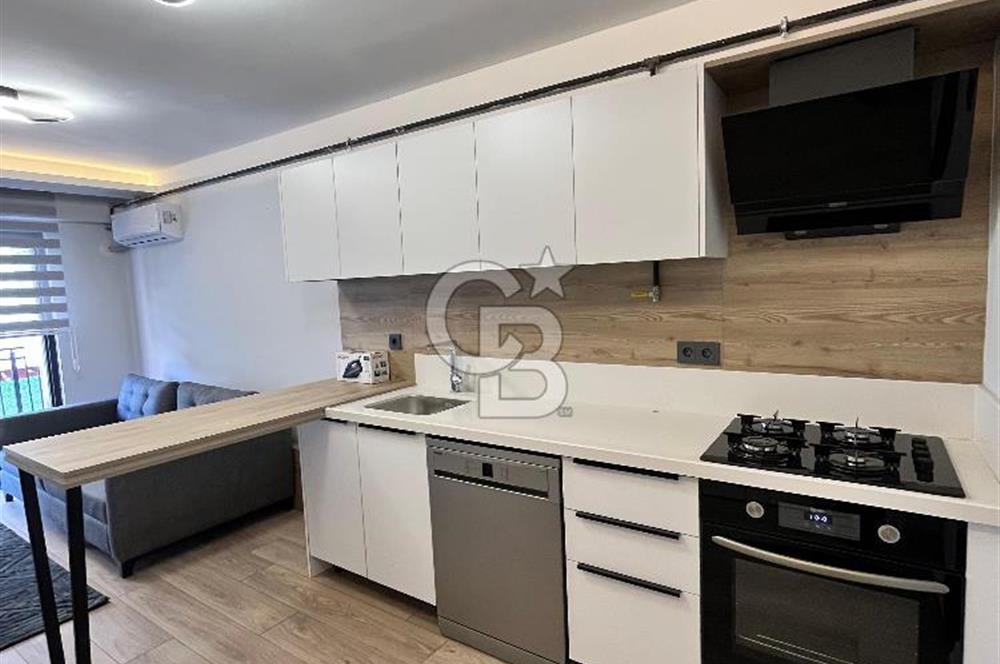 Sur yapıya 10 dakika mesafede 1+1 eşyalı kiralık daire 