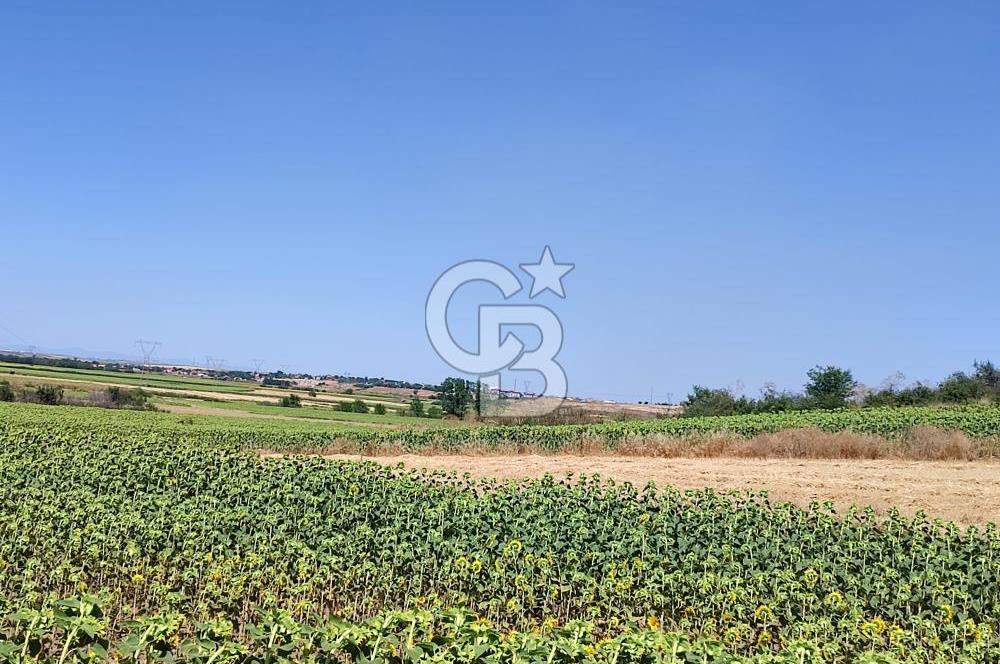 ÇAPLI VE MUVAKKATNAMELİ, KÖYE YAKIN FIRSAT TARLA