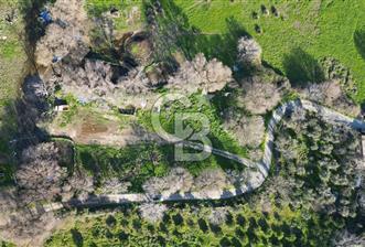 Seferhisar Sığacık'da Denize 500mt Mesafede Tarla - 1 - 371109