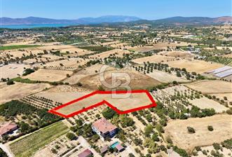 Urla sıra mahallesinde satılık tarla - 9 - 371181
