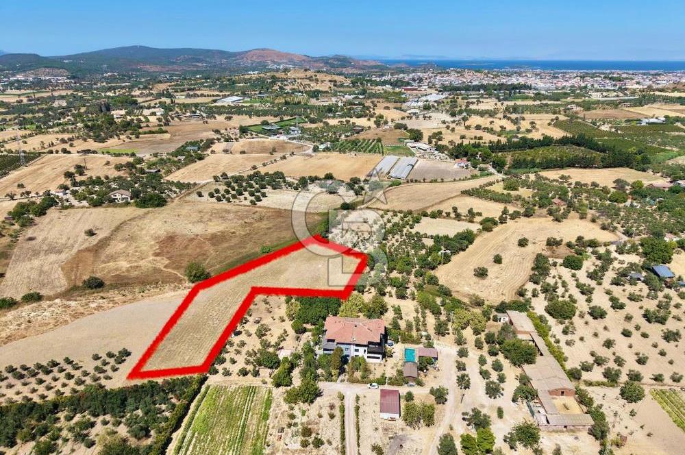 Urla sıra mahallesinde satılık tarla