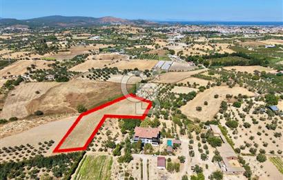 Urla sıra mahallesinde satılık tarla