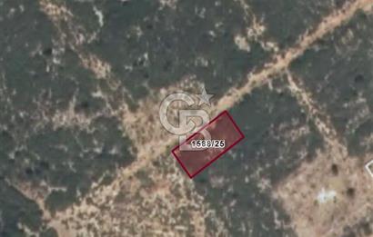 AYDIN DİDİM AKYENİKÖYDE BAFA GÖLÜ MANZARALI SATILIK İMARLI ARSA