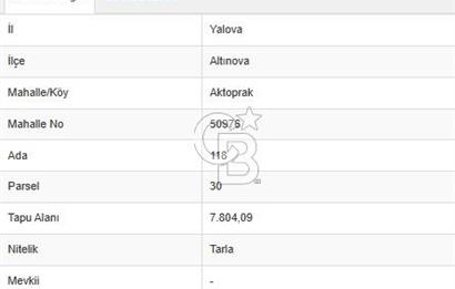 YALOVA ALTINOVA AKTOPRAK 7804m2 MÜSTAKİL TAPULU TARLA FIRSATI