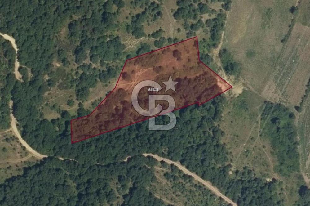 YALOVA ALTINOVA AKTOPRAK 7804m2 MÜSTAKİL TAPULU TARLA FIRSATI