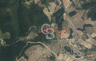 YALOVA ALTINOVA AKTOPRAK 7804m2 MÜSTAKİL TAPULU TARLA FIRSATI