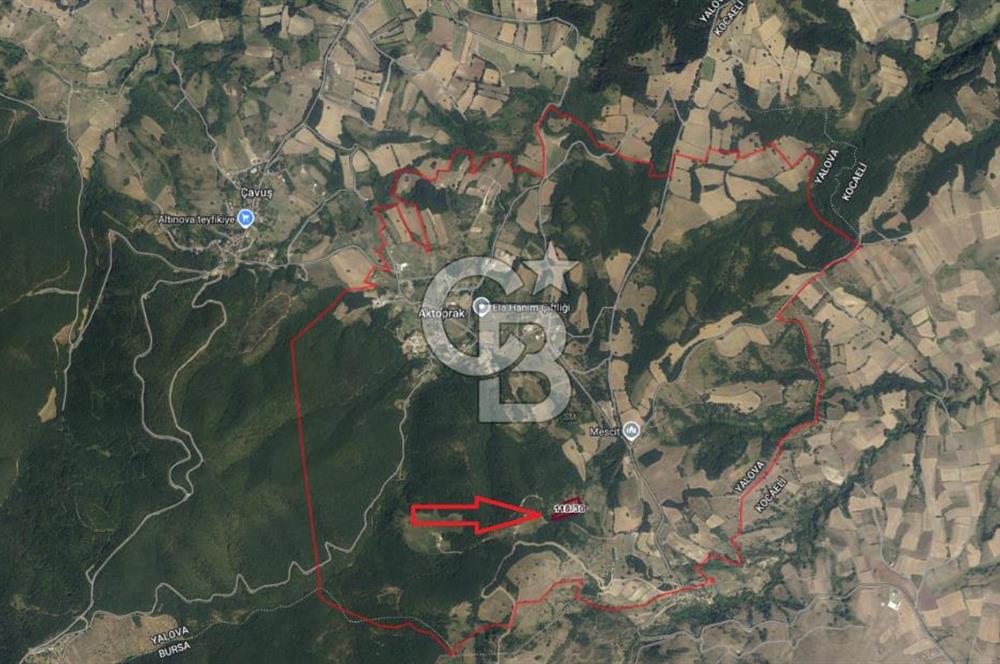 YALOVA ALTINOVA AKTOPRAK 7804m2 MÜSTAKİL TAPULU TARLA FIRSATI