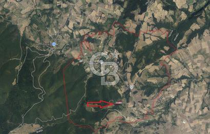 YALOVA ALTINOVA AKTOPRAK 7804m2 MÜSTAKİL TAPULU TARLA FIRSATI