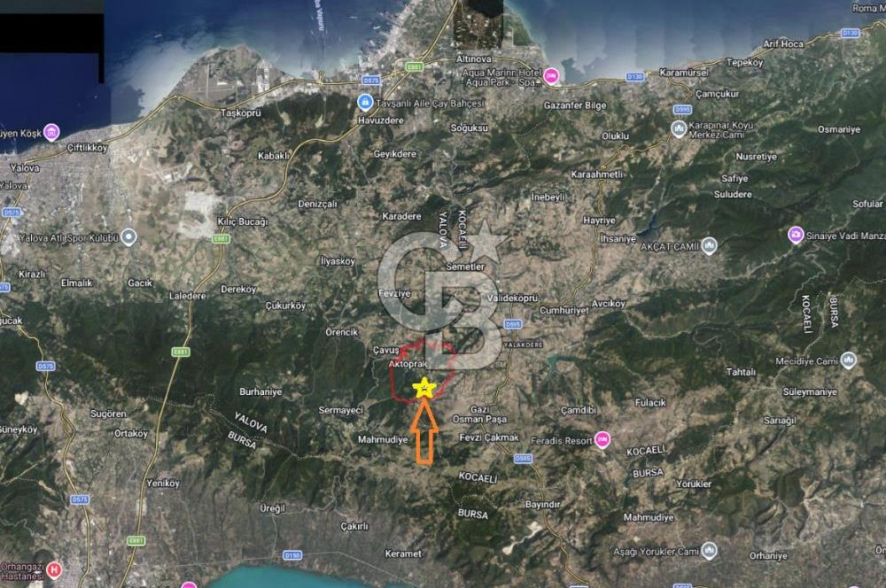 YALOVA ALTINOVA AKTOPRAK 7804m2 MÜSTAKİL TAPULU TARLA FIRSATI