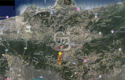 YALOVA ALTINOVA AKTOPRAK 7804m2 MÜSTAKİL TAPULU TARLA FIRSATI