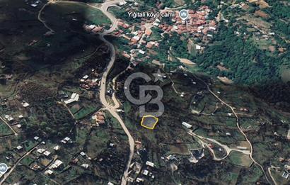 CB CLASS YİĞİTALİ SATILIK TARLA 1.199 M2