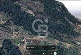 Göcek'te Satılık 10 Milyon TL'ye Doğa Manzaralı Zeytinlik - 8 - 371240
