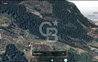 Göcek'te Satılık 10 Milyon TL'ye Doğa Manzaralı Zeytinlik