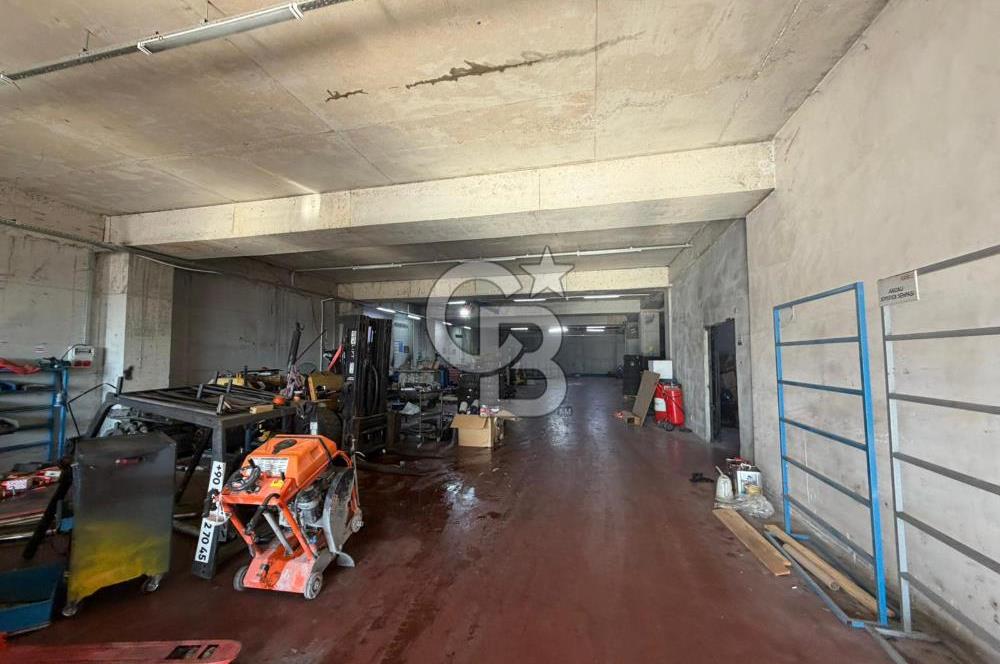 Büyükçekmece Karaağaç'ta 2500m2 arsa içinde 1650m2 kiralık depo