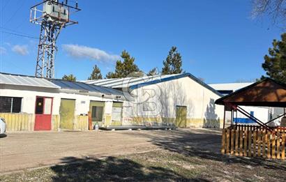 Ankara Çubuk'ta Kiralık 750m² Depo/Antrepo - Havaalanı Yakın