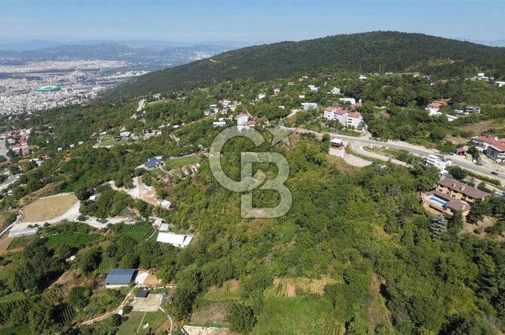 CB CLASS YİĞİTALİ SATILIK TARLA 1.199 M2