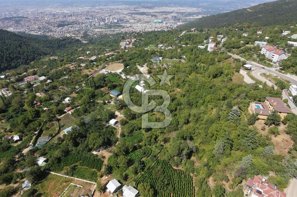 CB CLASS YİĞİTALİ SATILIK TARLA 1.199 M2