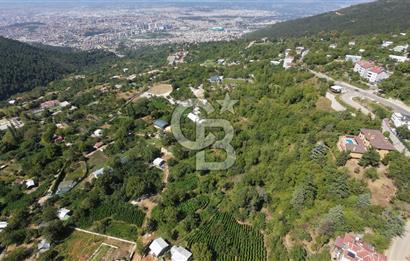 CB CLASS YİĞİTALİ SATILIK TARLA 1.199 M2