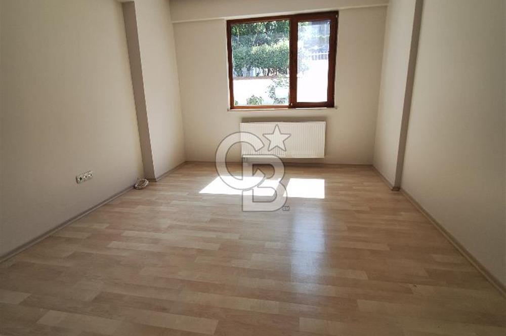 CB LEVElL KÜLTUR MH. KİRALIK