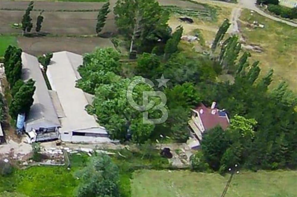 Havaalanı Yolunda Kiralık 5000m² Hazır:Depo, Antrepo, Villa