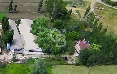 Havaalanı Yolunda Kiralık 5000m² Hazır:Depo, Antrepo, Villa