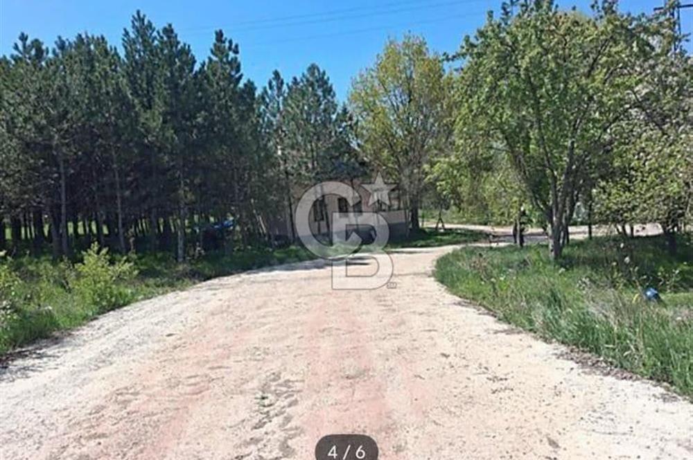 Havaalanı Yolunda Kiralık 5000m² Hazır:Depo, Antrepo, Villa