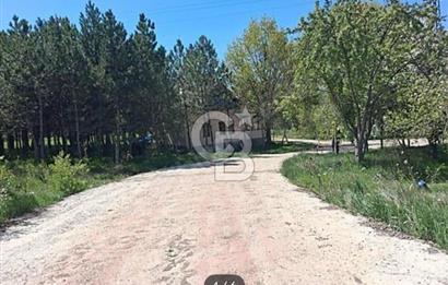 Havaalanı Yolunda Kiralık 5000m² Hazır:Depo, Antrepo, Villa