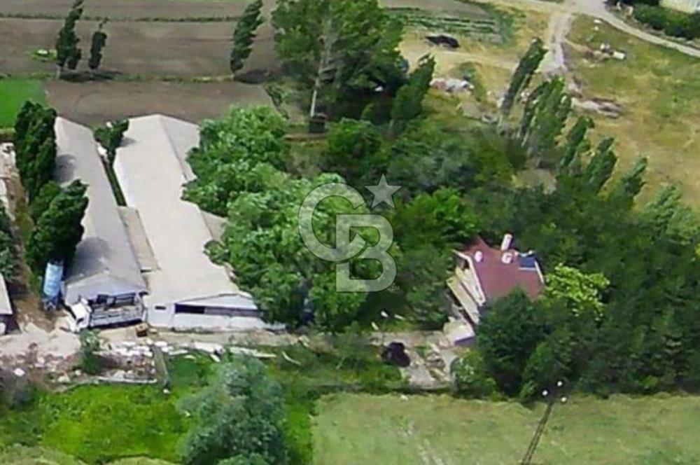 Havaalanı Yolunda Kiralık 5000m² Hazır:Depo, Antrepo, Villa