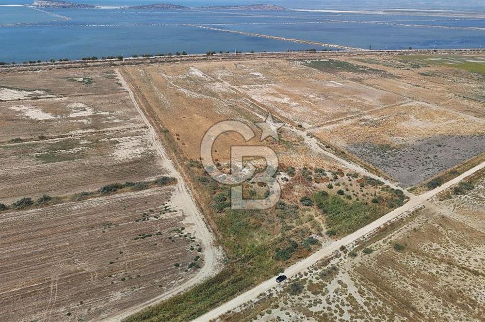 İzmir Menemen Süzbeyli' de 53 Dönüm Yol Cepheli Satılık Arazi