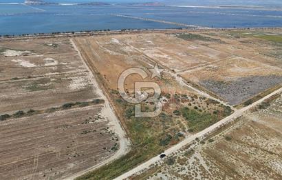 İzmir Menemen Süzbeyli' de 53 Dönüm Yol Cepheli Satılık Arazi